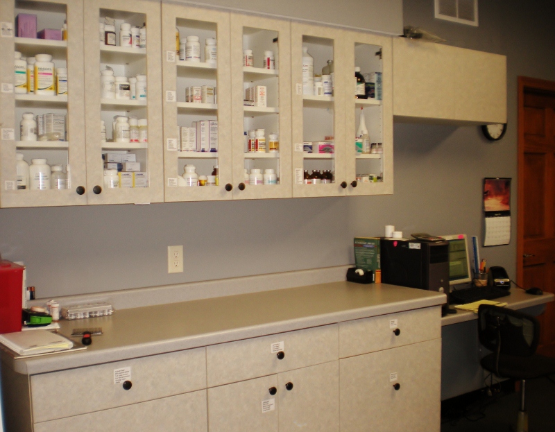 The Pharamacy area where we get all the drugs ready for our patients. 